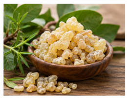 Estratto di Boswellia